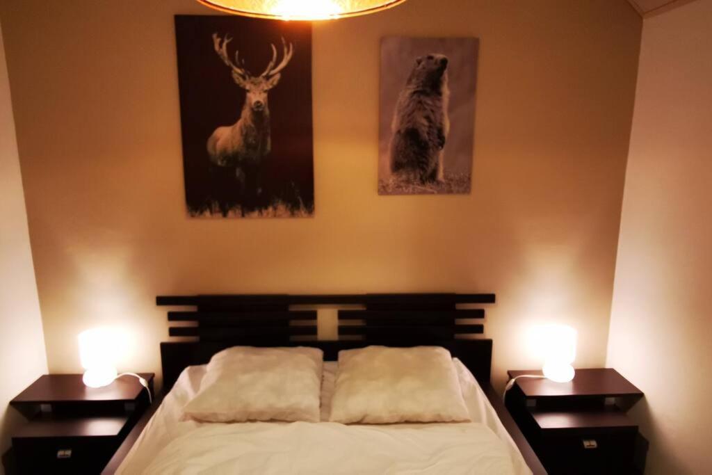 Le Picoulet : Appartement Tout Confort Coeur De Village Allos Εξωτερικό φωτογραφία
